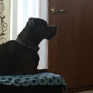 Meet your Posher, Deborah